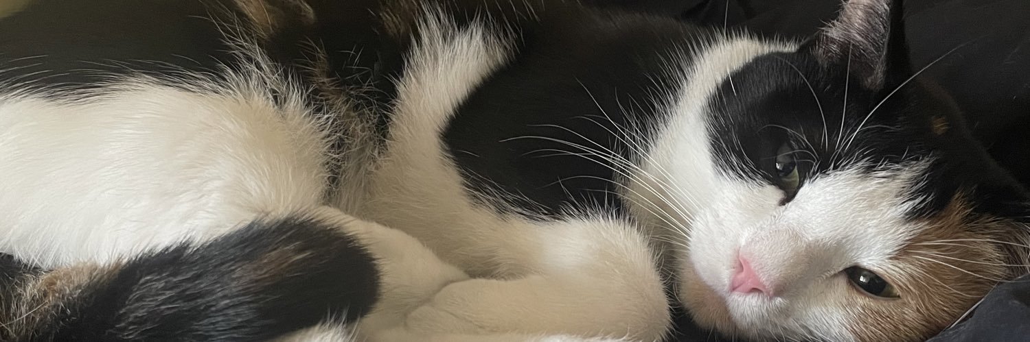summercwhite's profile banner image