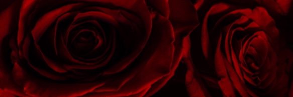 DaytonaPope's profile banner image