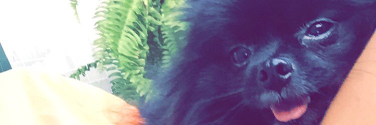 kor_gor's profile banner image