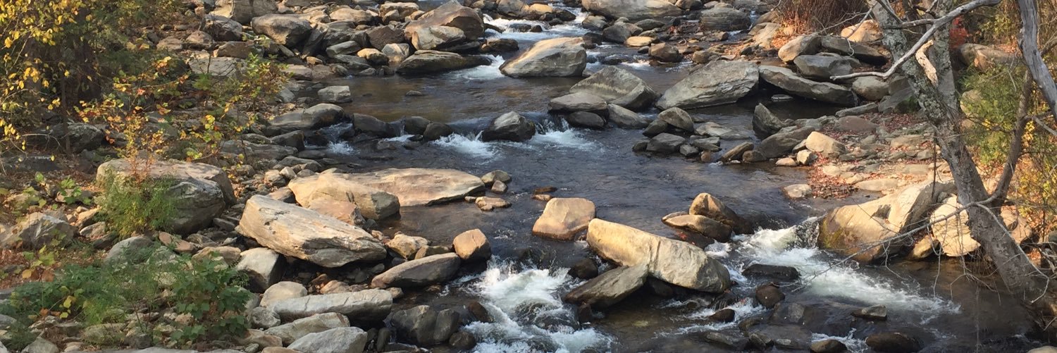 wvick268's profile banner image