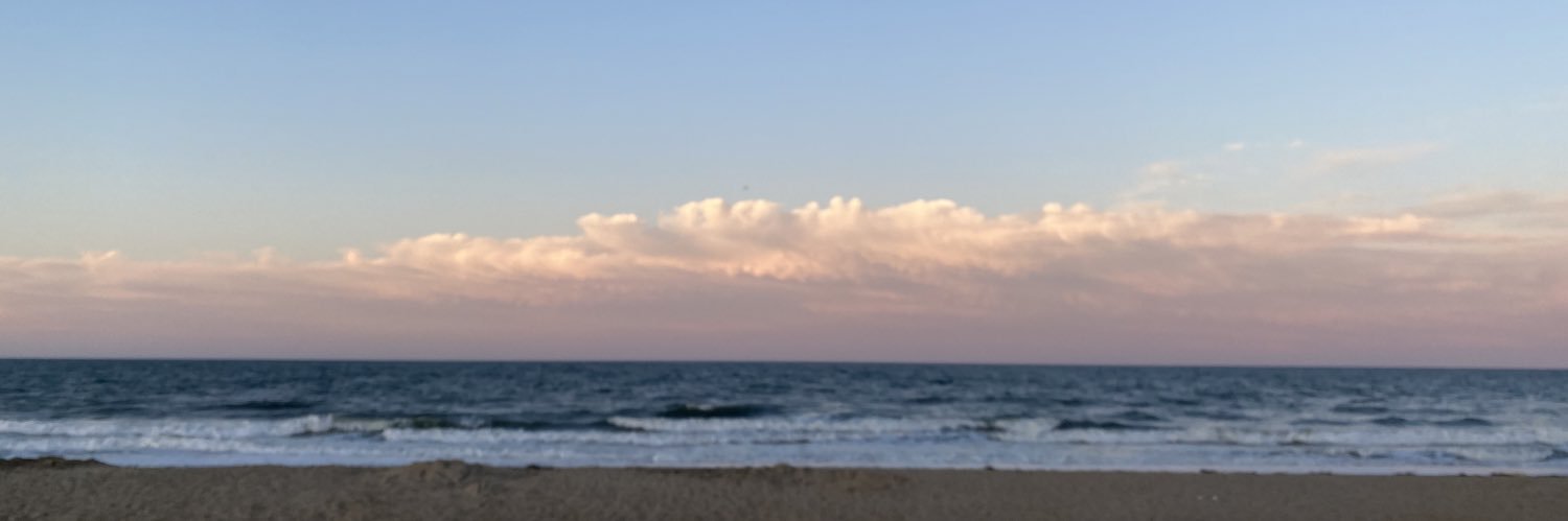 Alex Williams banner