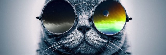 TDwheat06_'s profile banner image