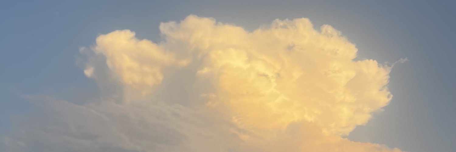 charis74ice's profile banner image