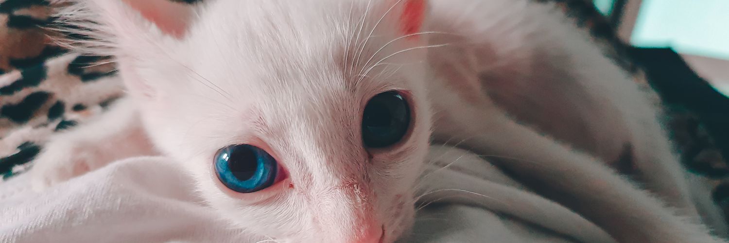 MileyYeontan's profile banner image