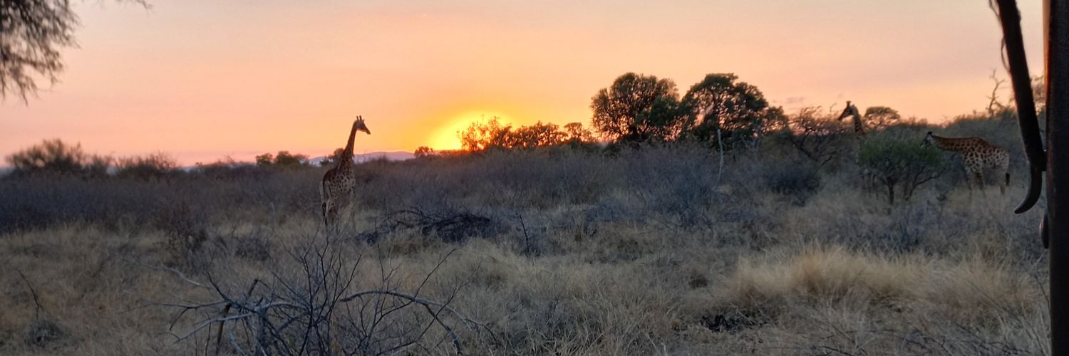MrsDzi's profile banner image