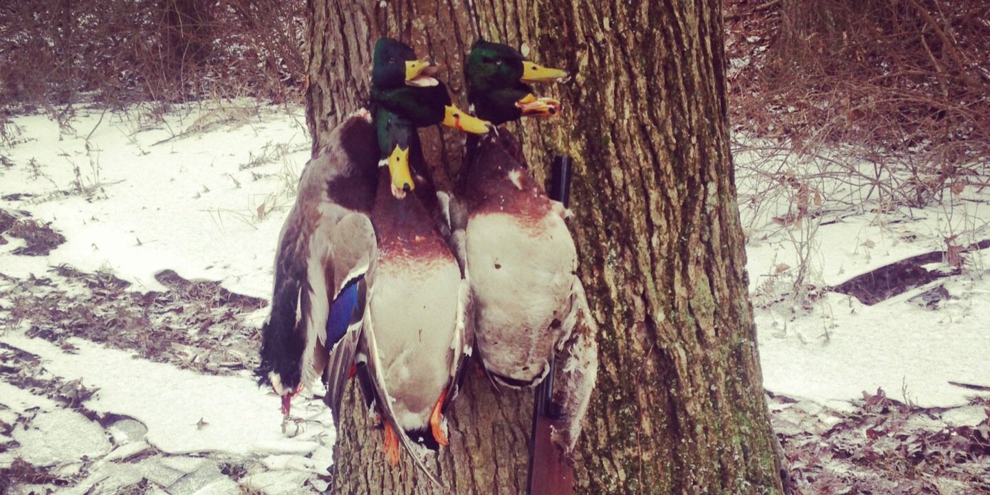 Kolby Depalmo banner