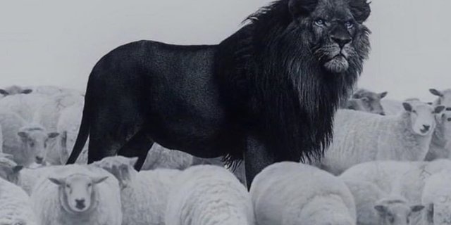 MikeLawry07's profile banner image
