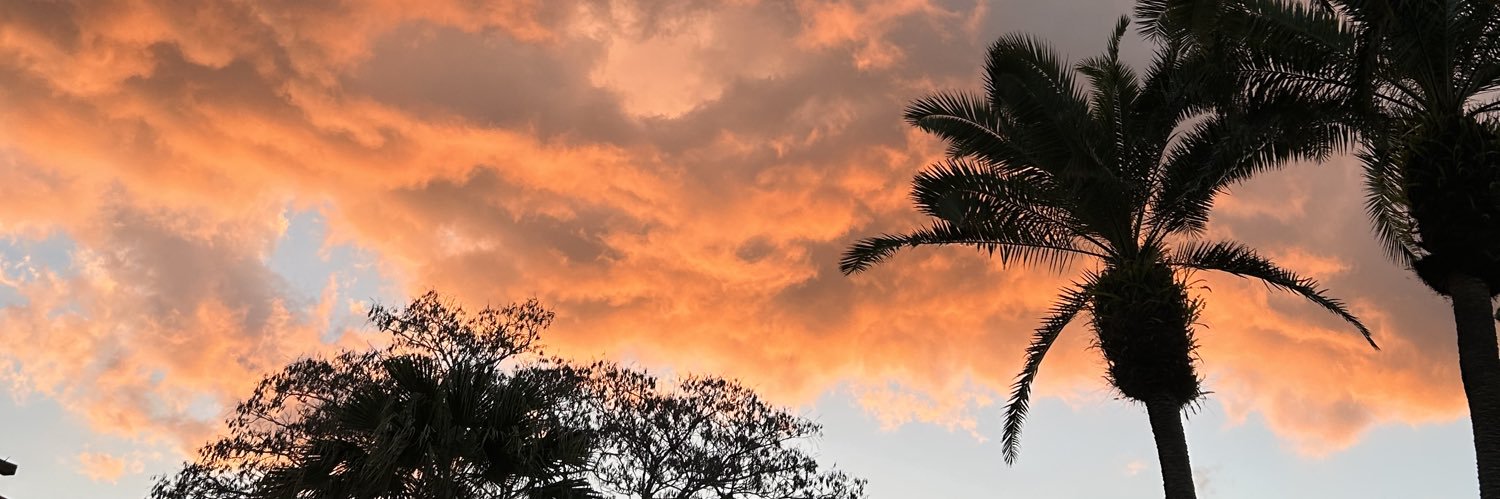 diegocaru41's profile banner image