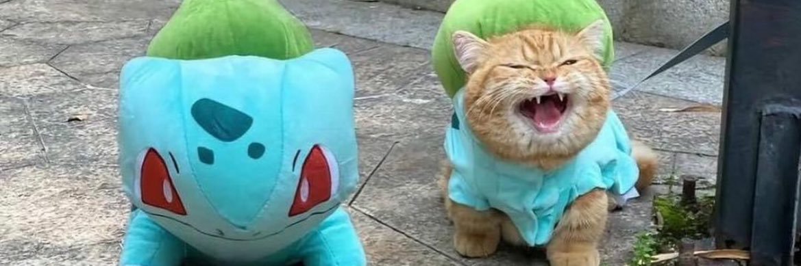 Painterevised's profile banner image