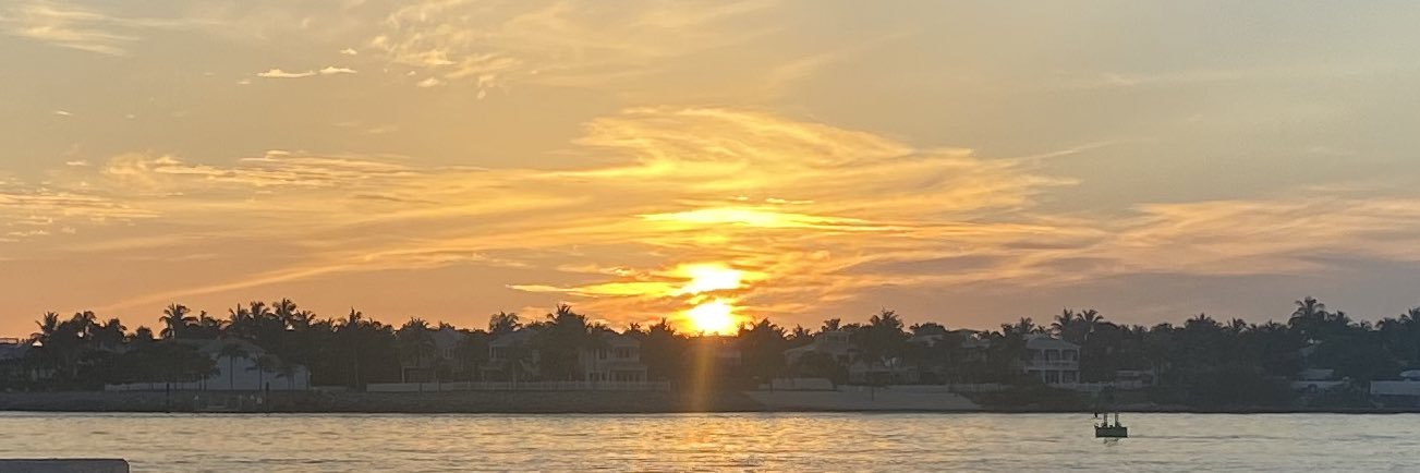 Sean Leathong banner