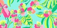 minyoungchung's profile banner image