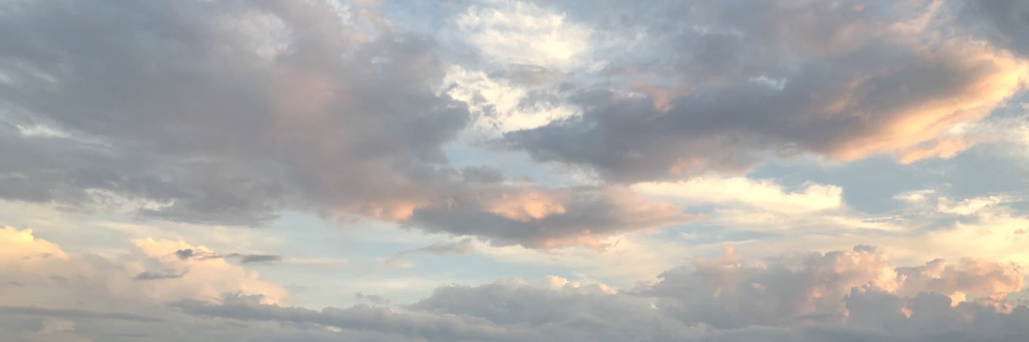 mary kate banner
