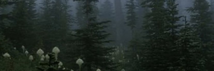 cierraakk's profile banner image