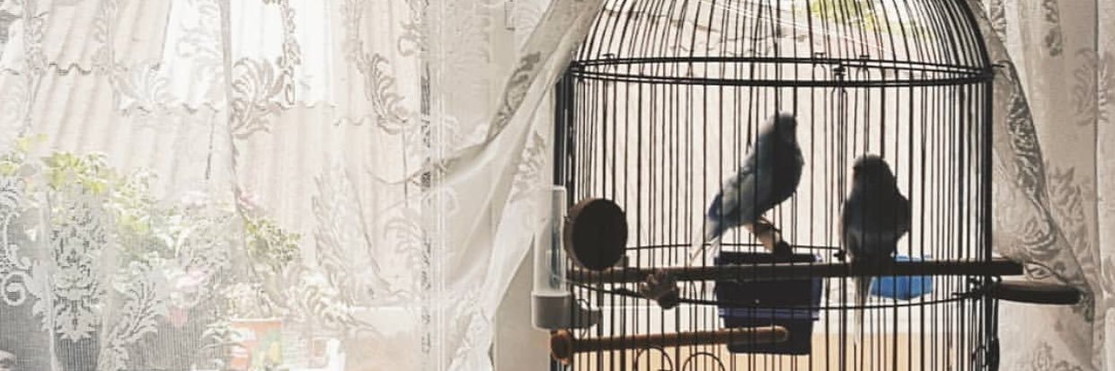 burcu_azp's profile banner image