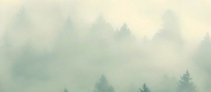 panzani88's profile banner image