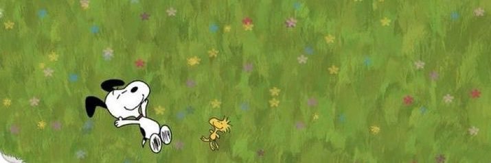 claraleyende's profile banner image