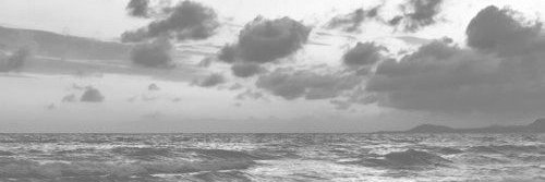 AlexColasReal1's profile banner image