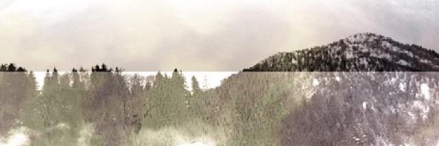 Neicex5Rice's profile banner image