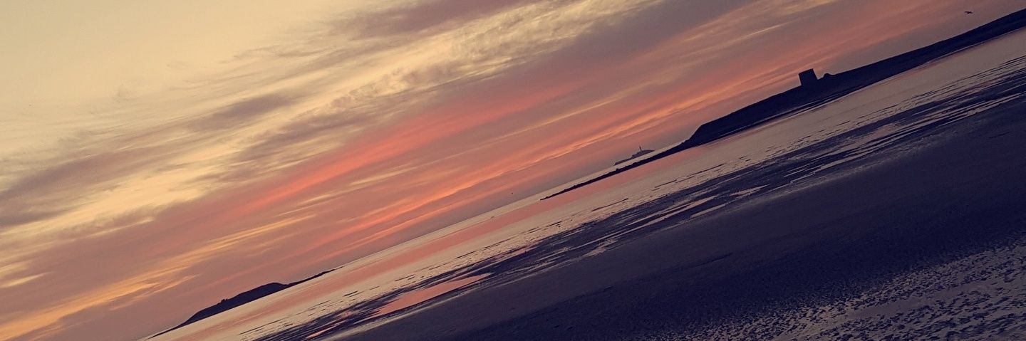 DollRoberts's profile banner image