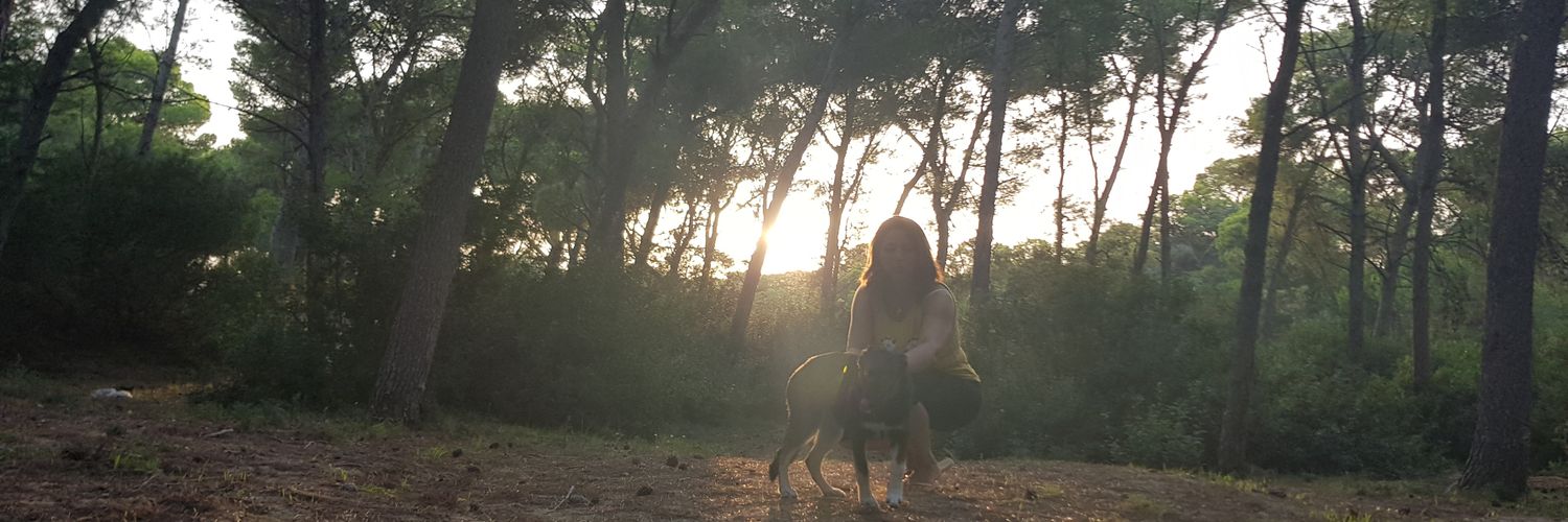 HayfaBF1's profile banner image