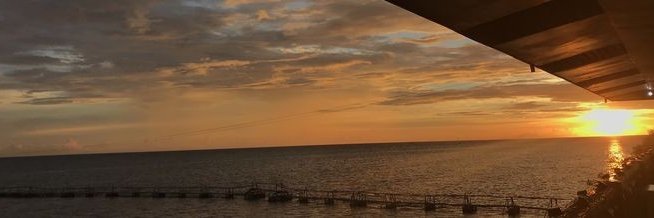 𝓗elena. banner