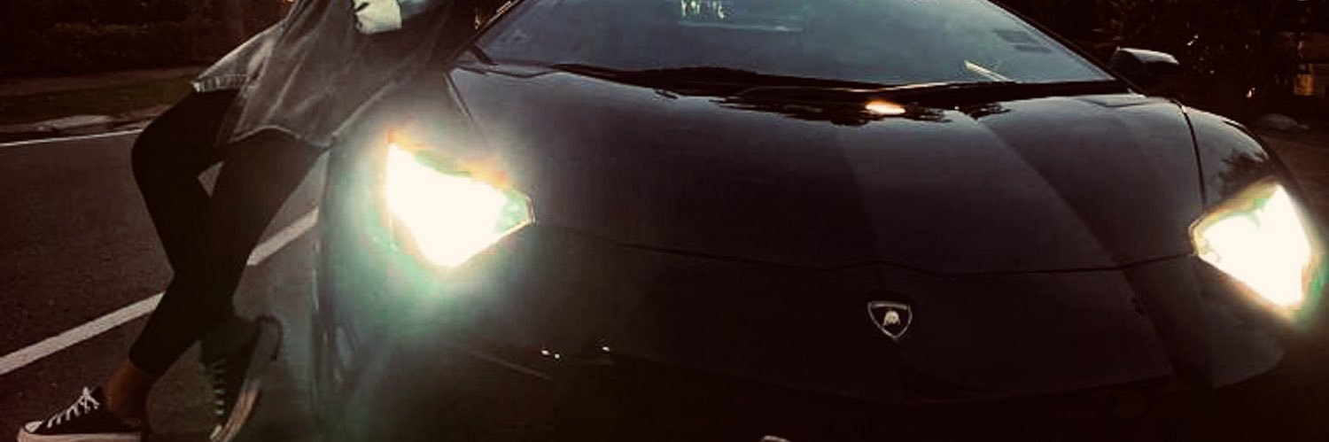 ElnaYap's profile banner image