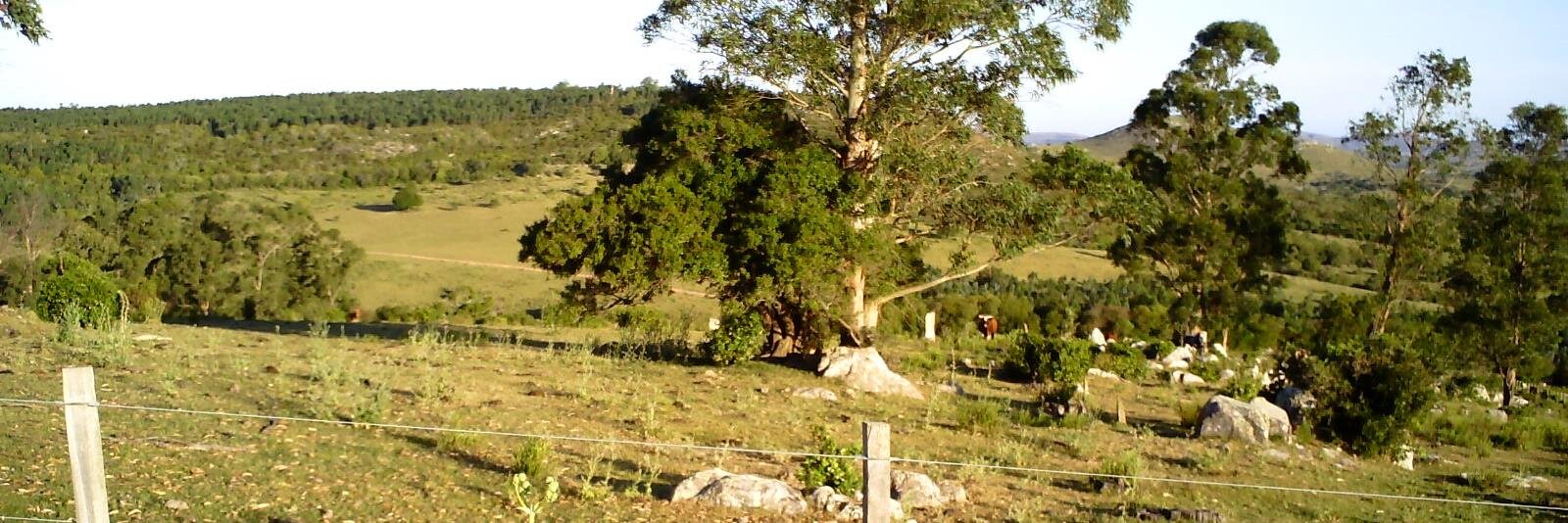 TejoJulio's profile banner image