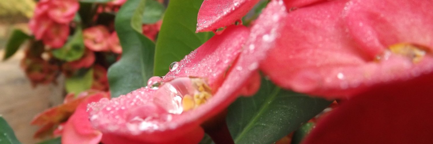 MusafirSam's profile banner image
