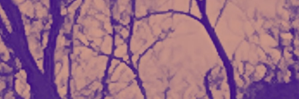realchalaBET's profile banner image