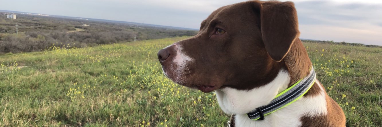 ASHLEYYY_B_'s profile banner image