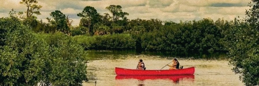 SaltPines's profile banner image