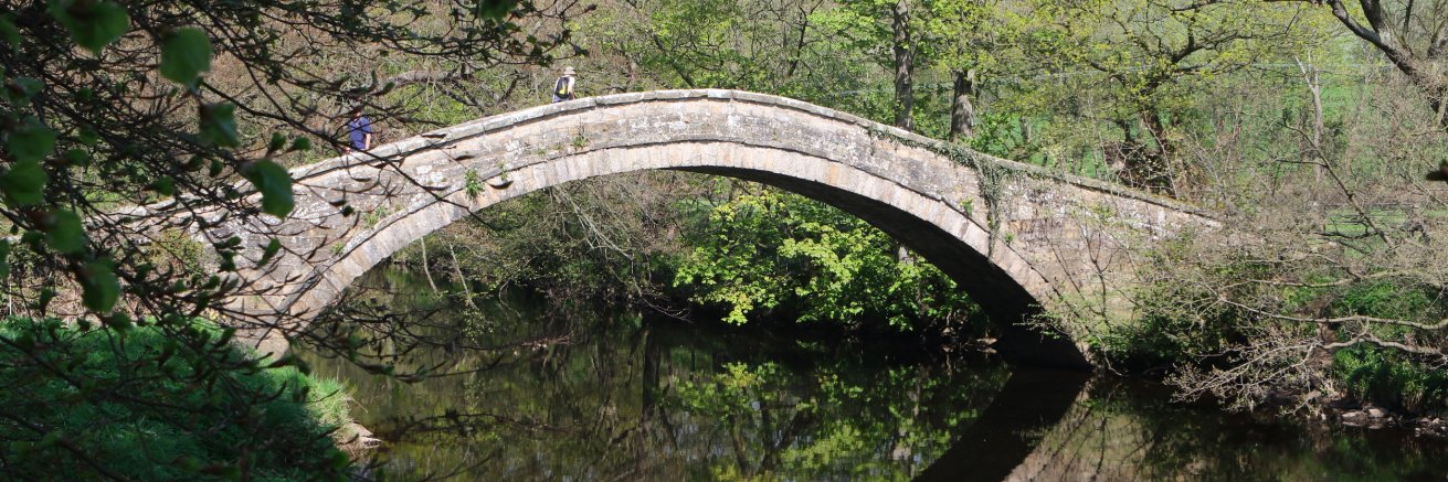 Nidderdale Walk banner