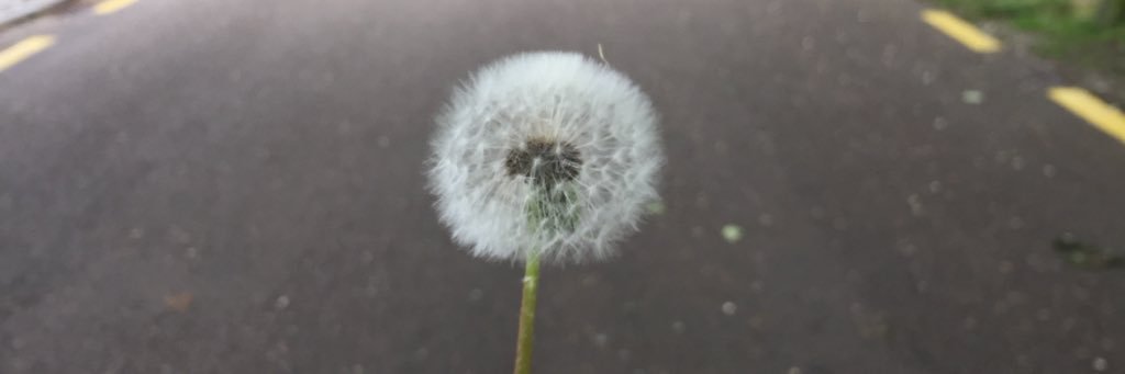 jiltaxx's profile banner image