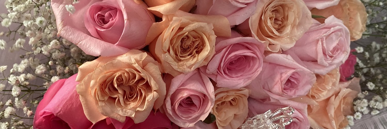 Dayris🌷✨ banner