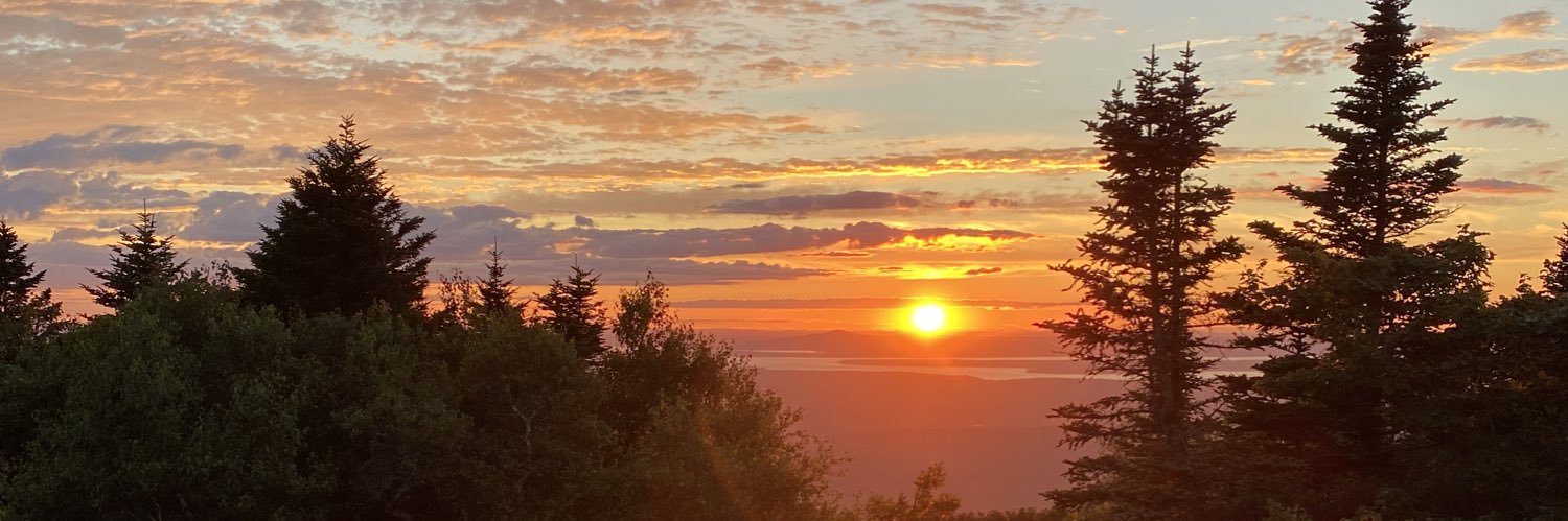 ToalstonAmy's profile banner image