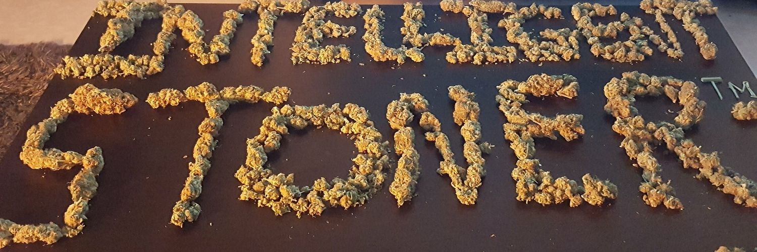 Intelligent Stoners™ 💹🧲's banner