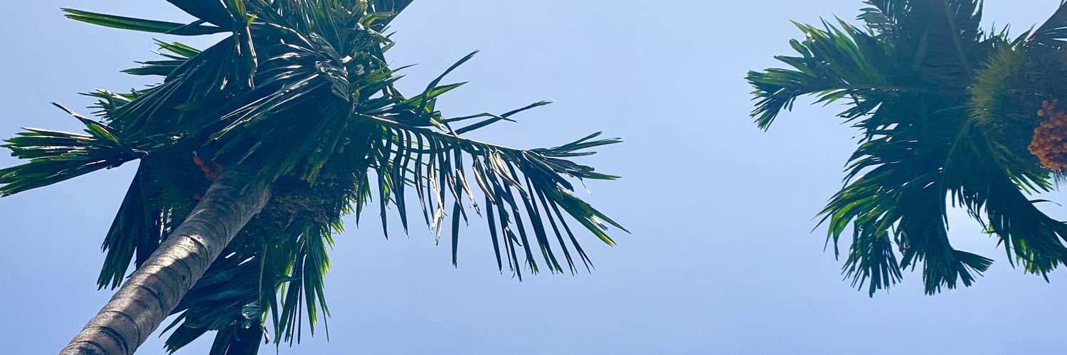 coconut... 🥥🌴 banner
