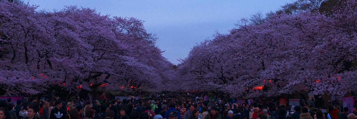LJPJPJPP's profile banner image