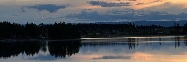 scottev Profile Banner