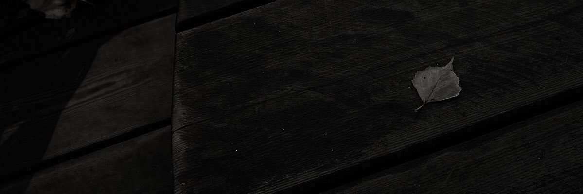 therareclover's profile banner image