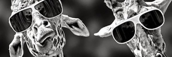 benkadmusic Profile Banner