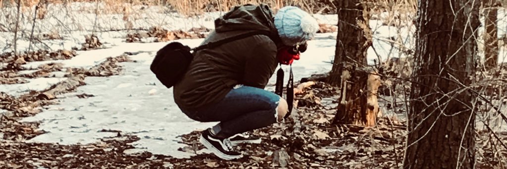 BabyYellow97's profile banner image