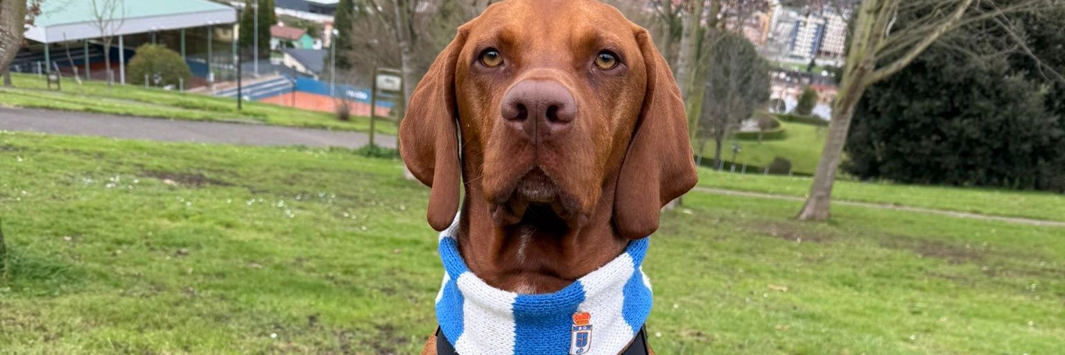 Marcosgonzalez8's profile banner image