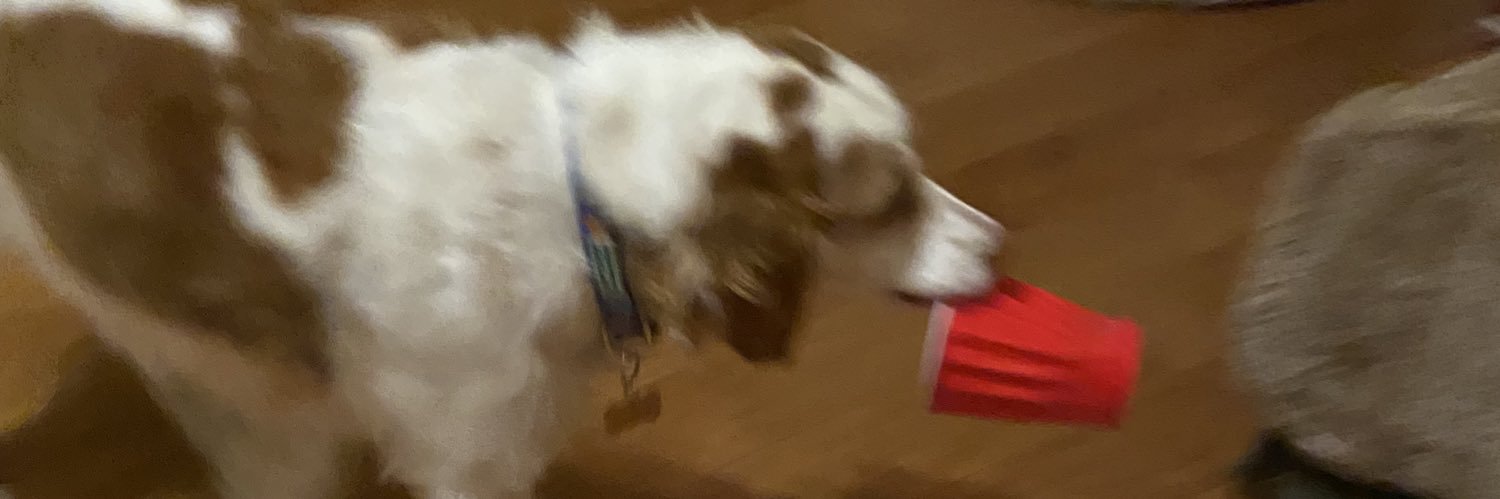 yeehawbug's profile banner image