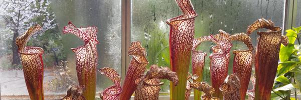 ChemDrM Profile Banner