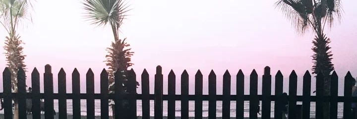 tarimelif's profile banner image