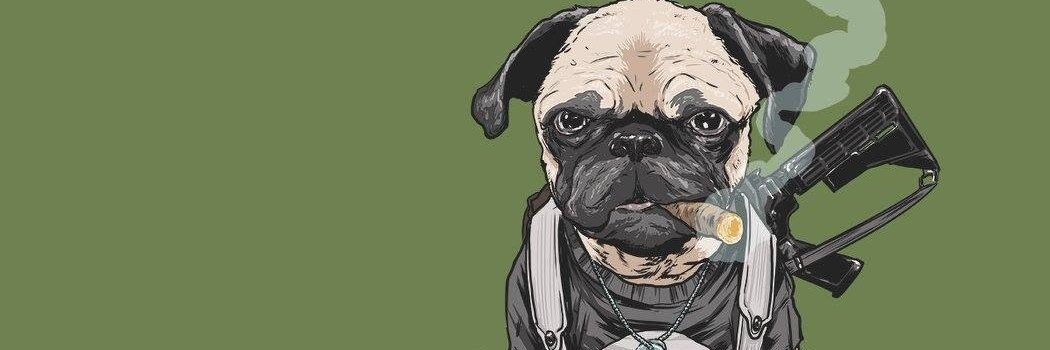 Camilo9506's profile banner image