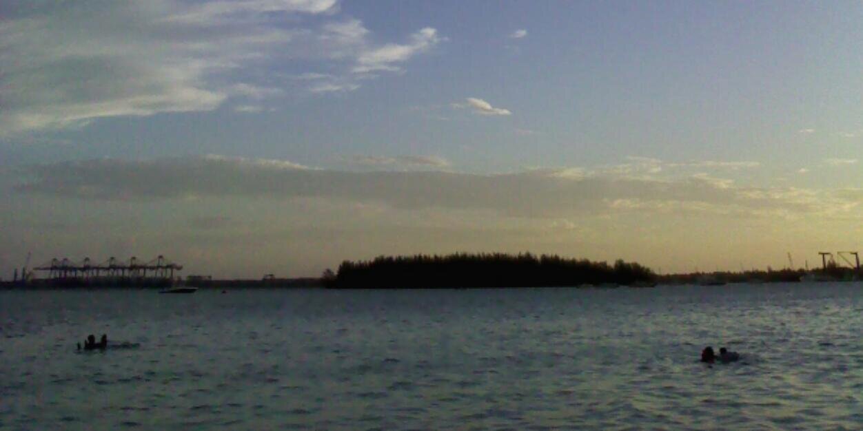 Corina banner