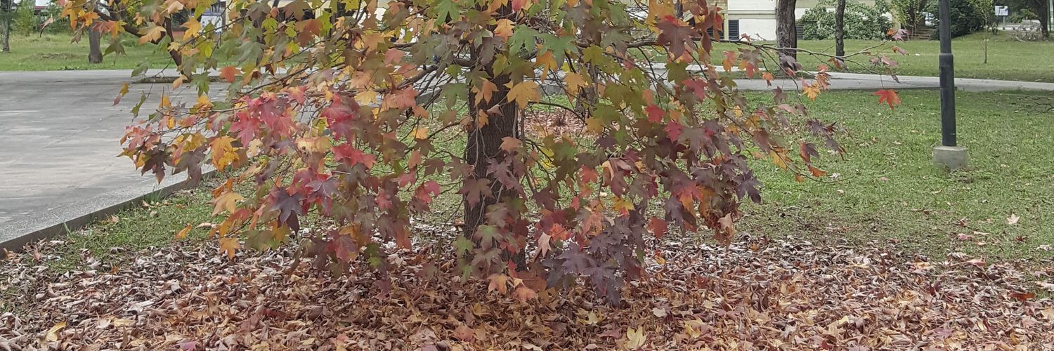 Clyo_v's profile banner image