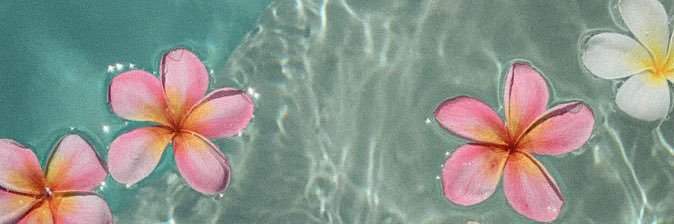 RdzAnahi's profile banner image